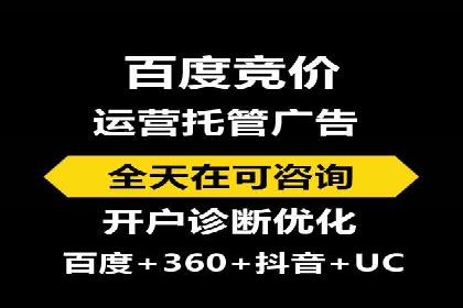 SEO与SEM优化案例：打造行业领先品牌